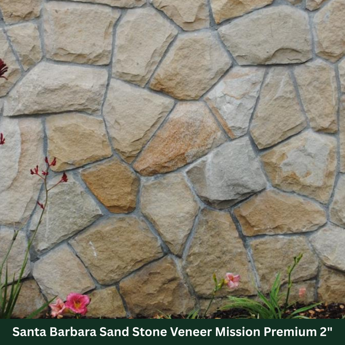 Santa Barbara Sandstone